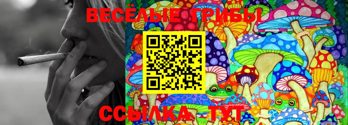 Мытищи  Галлюциногенные грибы Magic Shrooms  Вход с VPN 