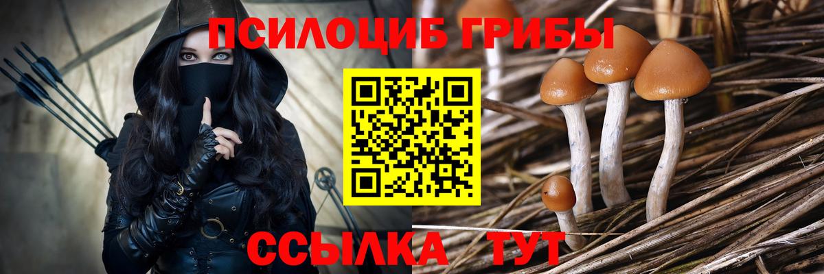 Галлюциногенные грибы мицелий Мытищи